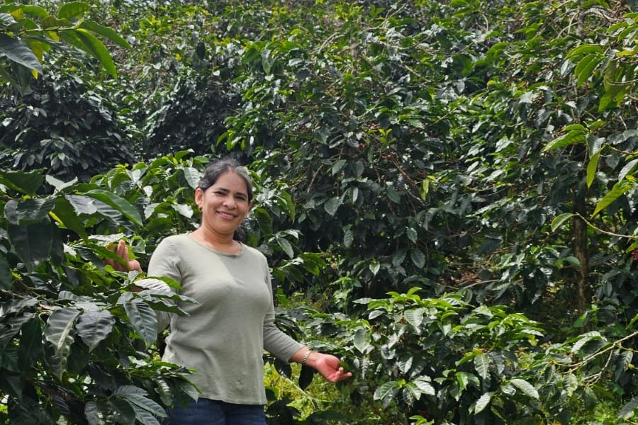 A coffee producer working in the field — the people behind exceptional Cup of Excellence coffees