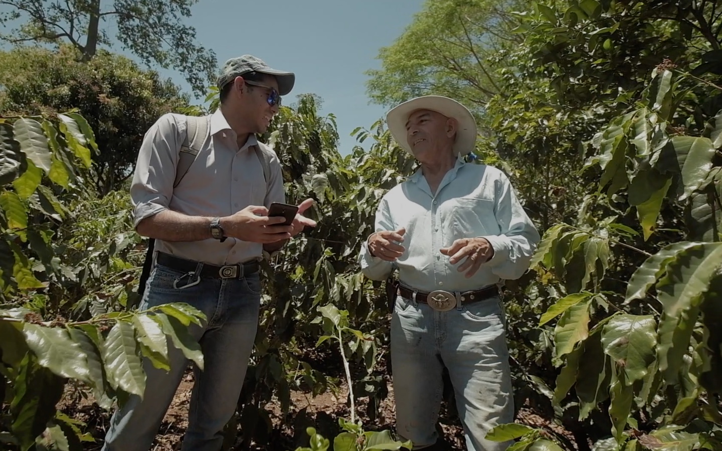 An Enveritas field worker and a coffee producer talking on a farm during an on-the-ground assessment