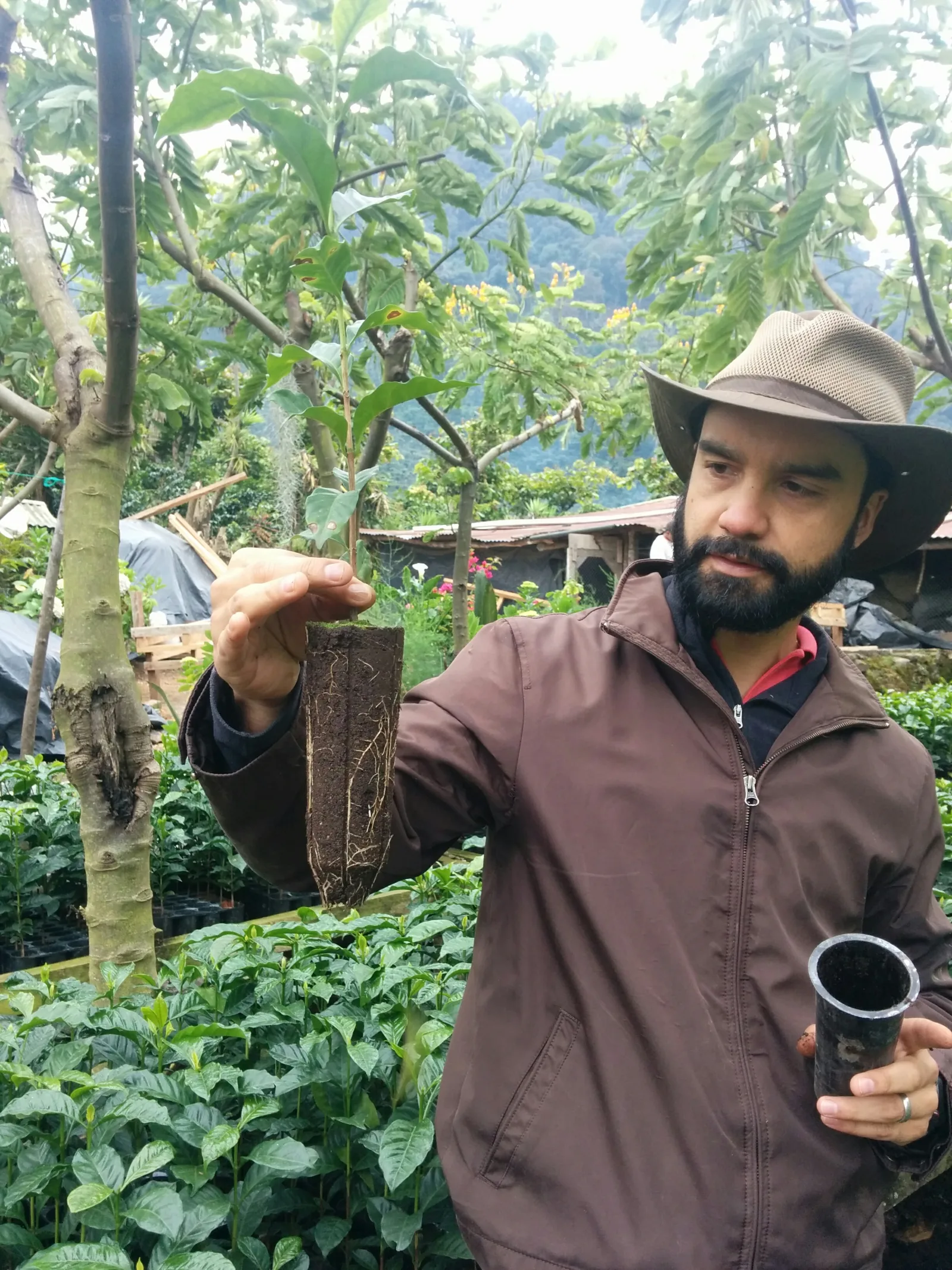 Finca El Injerto in Huehuetenango, Guatemala