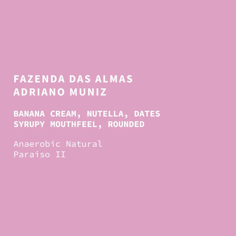 Brazil Fazenda das Almas by Idle Hands