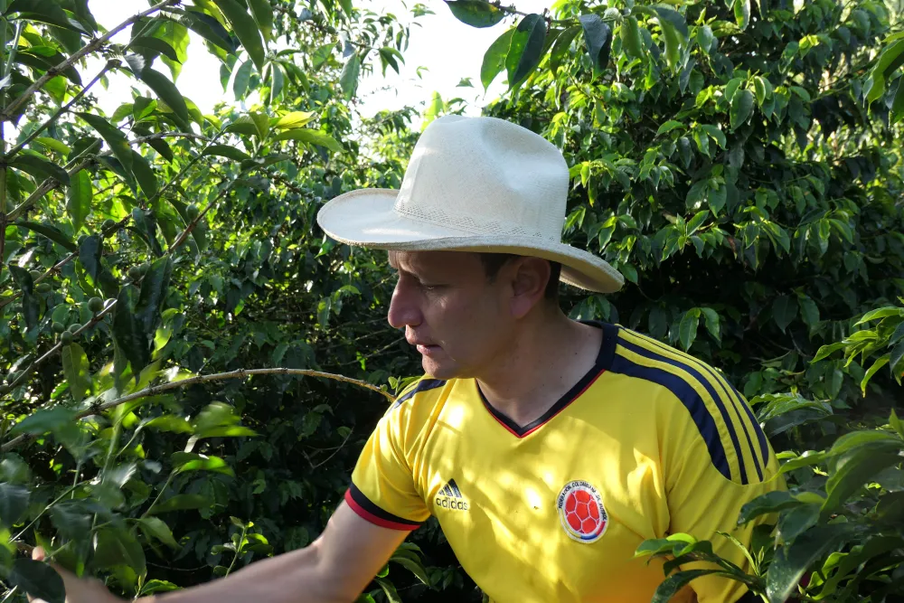 Linarco Rodriguez Ospina, coffee producer in Palestina, Huila, Colombia