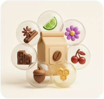 Siip coffee taste quiz showing flavor preferences like chocolate, fruity, and nutty for personalized matching